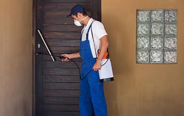 pest control services