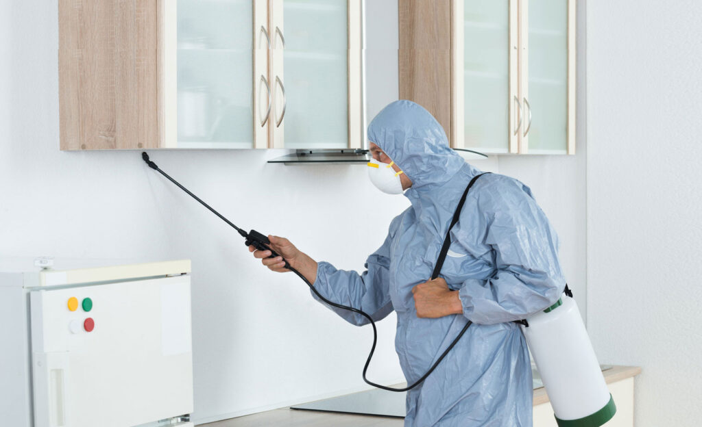 Cleaning companies ajman