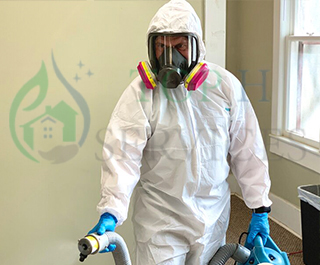 Cleaning home services