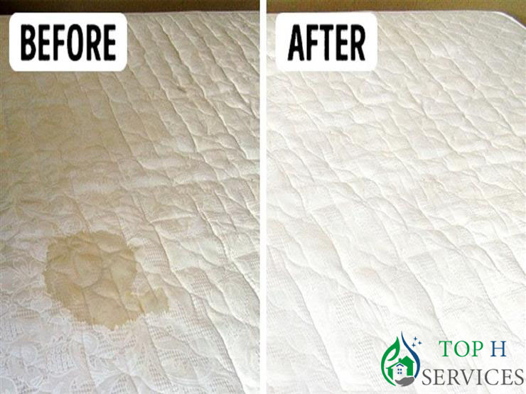 bed mattress cleaning services