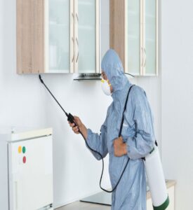 pest control sharjah 2