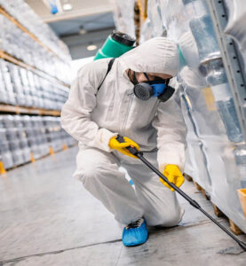 pest control