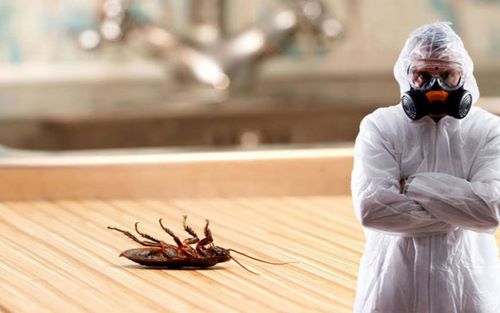 pest control without smell