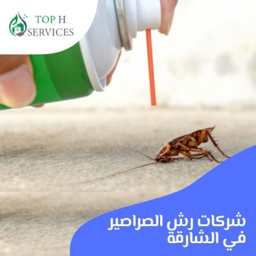 شركات رش الصراصير في الشارقة
